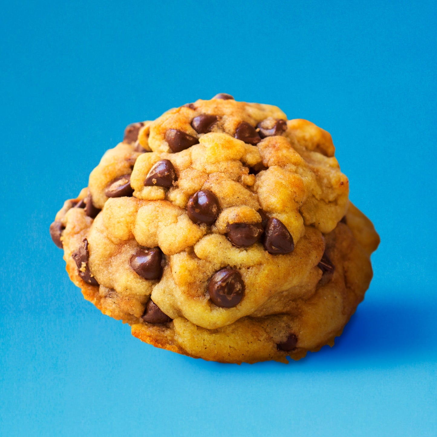 Choccy Chip